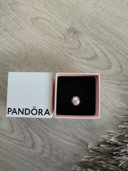 Pandora - 10