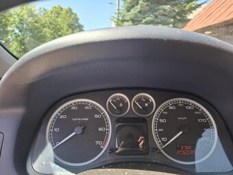 Peugeot 307 1.4 55kw - 10