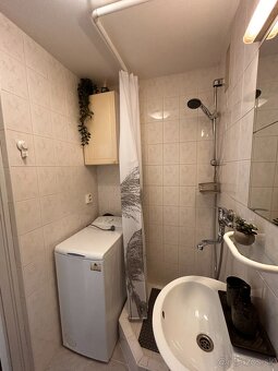 PET friendly útulná garsónka - 10