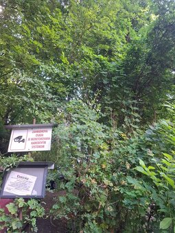 Rekreačná nehnuteľnosť? Trvalé bývanie? Výhodná investícia? - 10