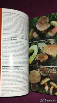 1000 slovenských a českých húb - 10