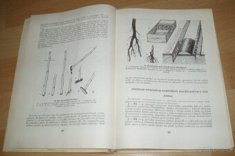 Štepenie, očkovanie a preštepovanie drevín - 10