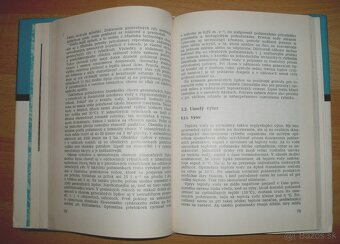Lipeň - 10