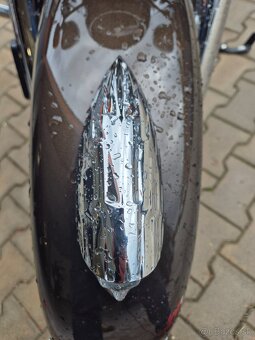 INDIAN SPRINGFIELD 2024 1500km odpočet DPH - 10