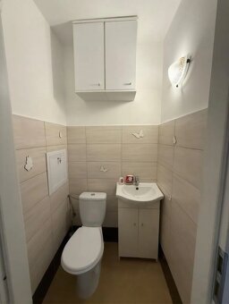 Na prenájom 3-i zariadený zrekonštruovaný byt s loggiou - 10