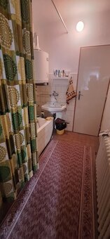 Priestranný RD Lubina, 2842 m2 pozemok - 10