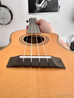 Predám elektro akustické ukulele Alvarez AU70WCCE - 10