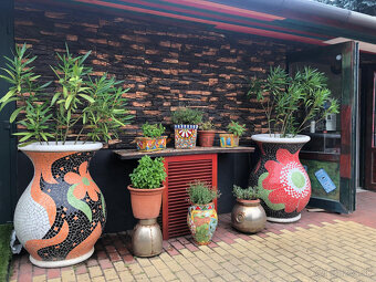 Villa v obci Trstín - s veľkým pozemkom - 10