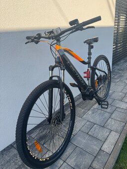 LECTRON ESCONDER - 10