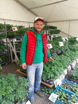 Planty ,priesady,paprika,rajčina,uhorky,cukety - 10