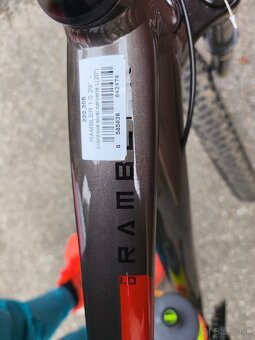 CTM Rambler 1.0 29". 2024 - 10