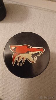 Hokejove puky NHL - 1ks -10€ - 10