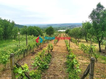 Romantická chata v Trnave pri Laborci - 10