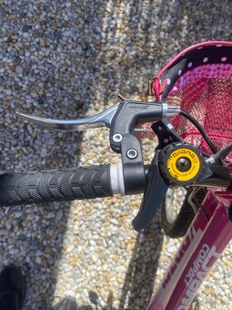 KENZEL COMPACT 24 - 10