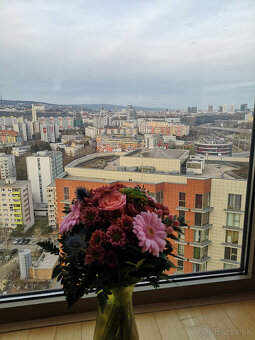 FINREA│Priestranný a slnečný 2-izbový apartmánový byt, 90 m² - 10