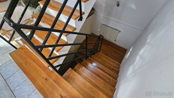 Sátoraljaújhely - Slovenské Nové Mesto - veľký RD s podnikan - 10