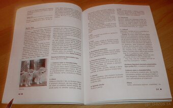 Severské plemená psov - 10