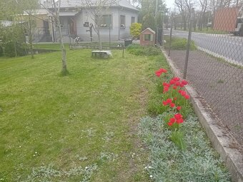 Stavebný pozemok, záhrada Malé Dvorníky - 10
