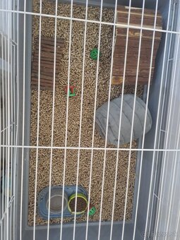 Ježko bielobruchý s vybavením - 10