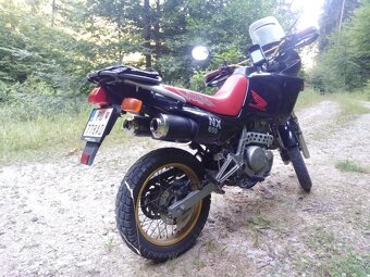 HONDA Dominator NX650 - 10