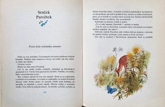 Rudo Moric - Parožtekovci - 10