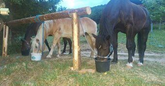 Ustajnenie 24/7 - 10