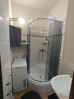 Veľký jednoizbový byt rezervované - 10
