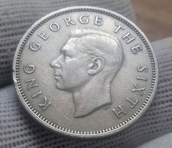 Mince Nový Zéland. - 10