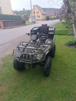 Arctic cat - 10