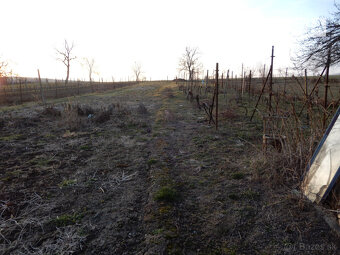 Slnečné dva domy na jednom pozemku, 130 m2, garáž, Kozárovc - 10