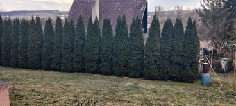 Chata so záhradou - 10