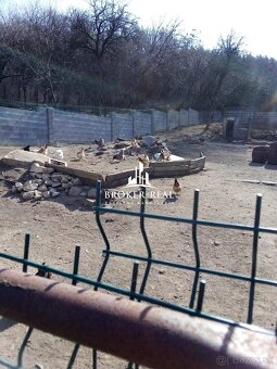 Rodinný dom Pusztafalu, Maďarsko - 10