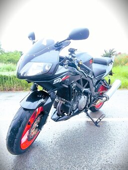 SUZUKI SV 1000S - 10