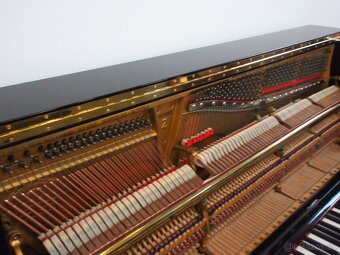 Steinway and Sons najvyššía prémiová kvalita - 10