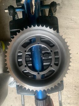 babeta diely - 10