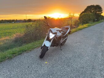 Honda Hornet 600 - 10