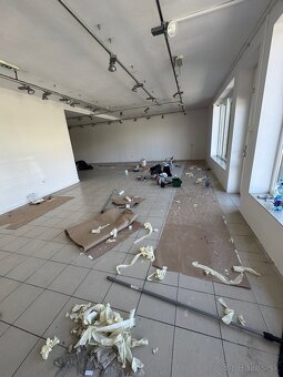 🧹 Profesionálne upratovacie služby – Bratislava a okolie 🏠🏢 - 10