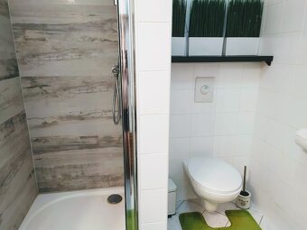 Jednoizbový klimatizovaný byt s parkovaním v garáži - 10
