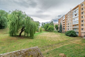 1-izbový, predaj, 28 m2, Michalovská, Košice - Západ - 10