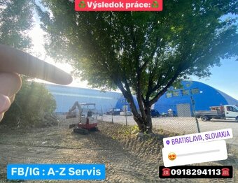 Čistenie pozemkov od náletovych drevín/Mulčovanie/Pílenie - 10
