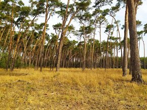 Predám nádherný pozemok pri Ortovom mlyne v obci Láb. - 10