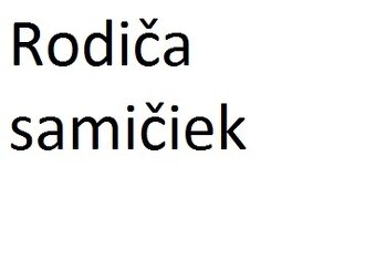 predám samičky anduliek Blackface - 10
