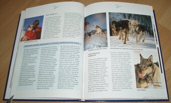 Záprahové psy - 10