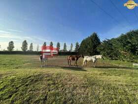 Predaj-ranč pre milovníkov koní s rozľahlými pozemkami okres - 10