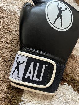 Boxerské rukavice ALI - 10