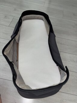 Kocik Joolz Day 3 - 10