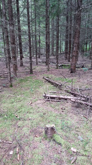 Predaj pozemkov nad Turzovskými kúpeľmi, okres Gelnica - 10