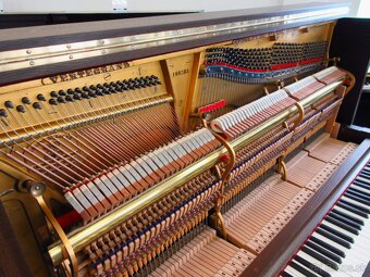 Steinway and Sons jedinečná ponuka - 10