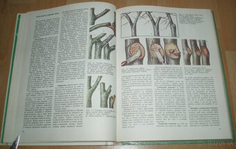 Tvarovanie a rez ovocných dreví - 10