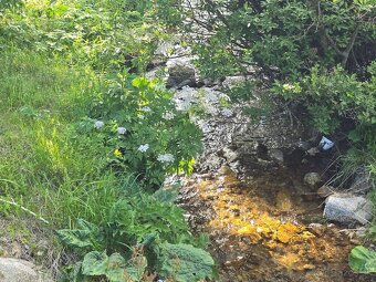 Lukratívny pozemok na dve rekreačné chaty na Vyšnej Boci - 10